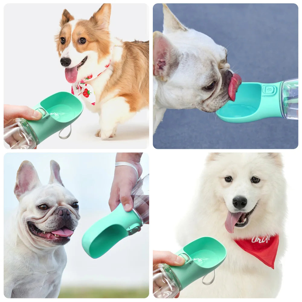 Botella portatil para perros